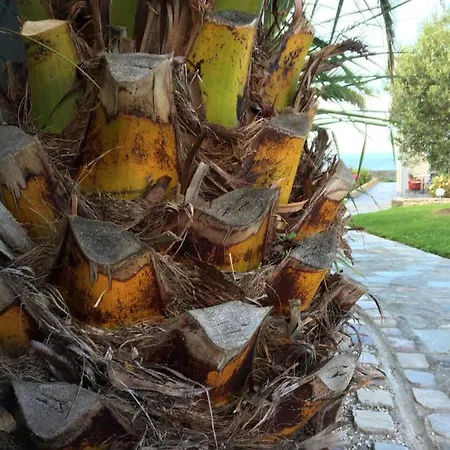 Holiday home Olive Et Pomme