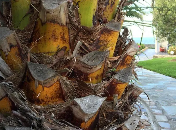 Holiday home Olive Et Pomme